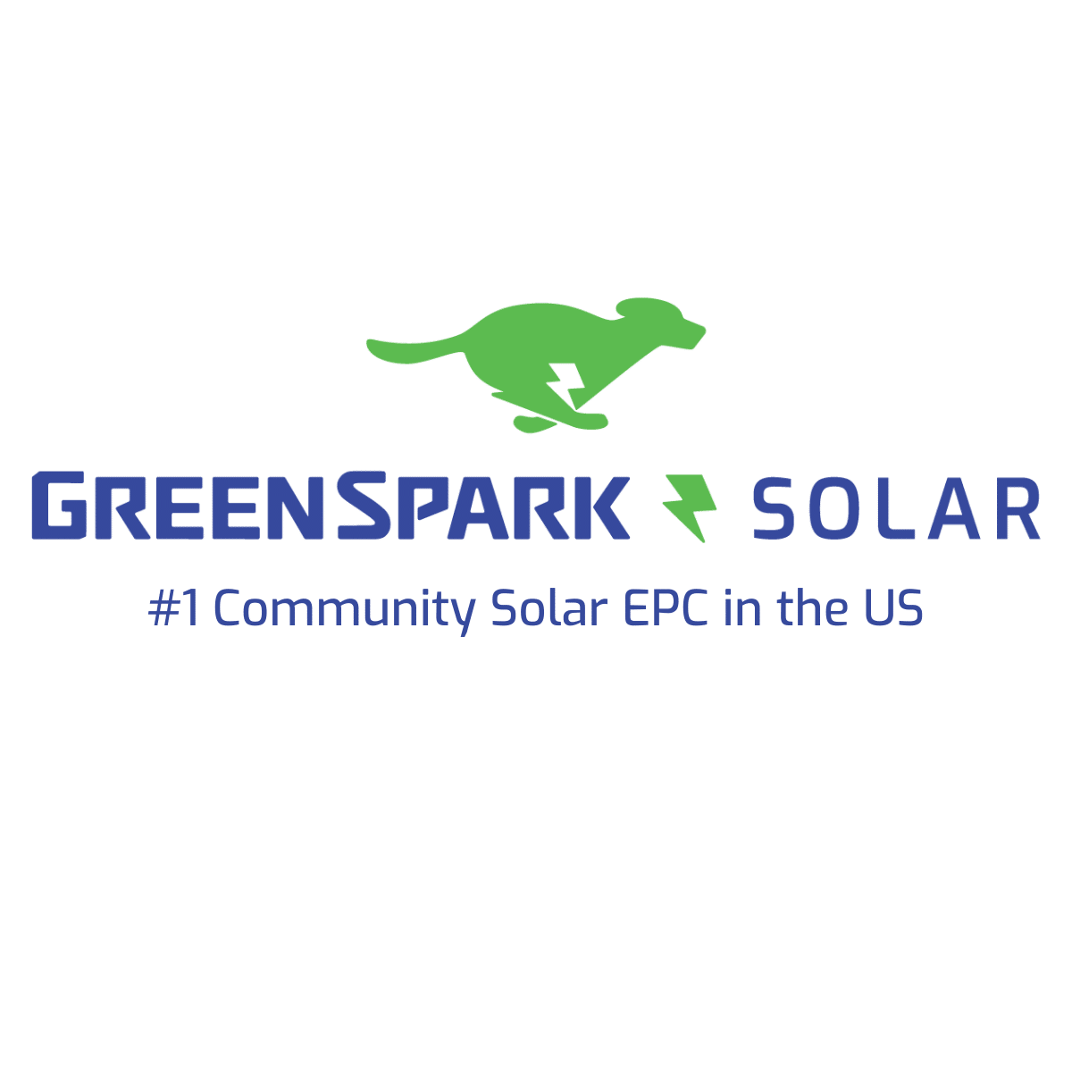 GS_RE+_Community Solar_Napkins