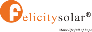 Felicity Logo